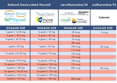 Synthroid is a popular synthetic T4 <b>levothyroxine</b> tablet made by AbbVie. . Levothyroxine shortage 2022